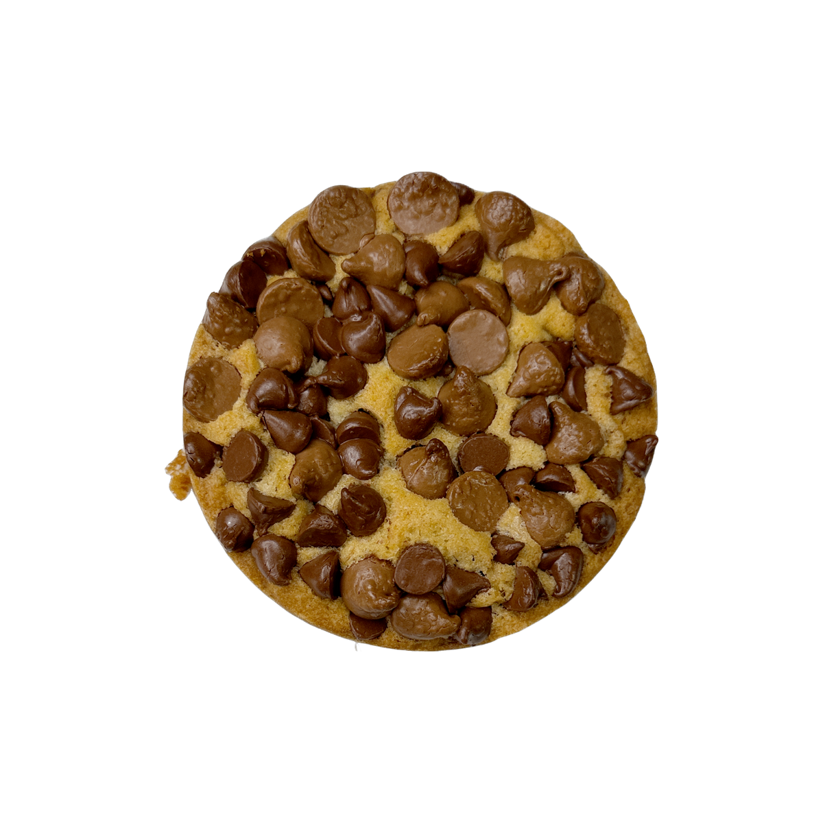 Double Chocolaty Chip Signature Cookie - 6 Pack