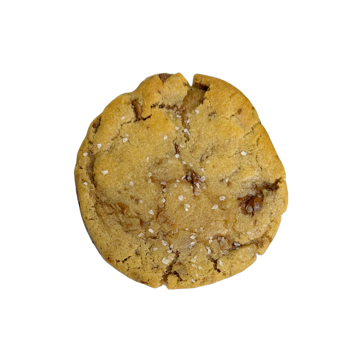 The Select Cookie Collection - 12 Pack